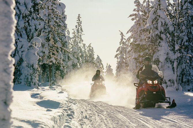 Reindeer Safari With Snowmobile and Cross the Arctic Circle Tour From Rovaniemi - Tour Highlights