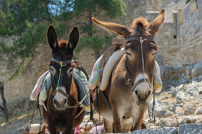 Rhodes Self Drive 4x4 Offroad Adventure With Gourmet Lunch - Cancellation and Reservation Policy