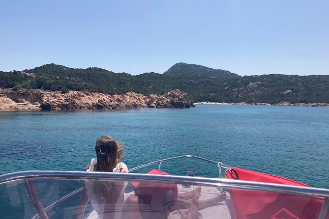 Rib Boat Tour to the Dolphin Area up to 6 People - Exploring the Dolphin Area