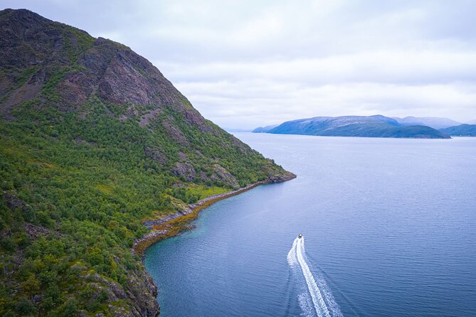 RIB Expedition to Seiland National Park - 3.5h - Wildlife Sightings
