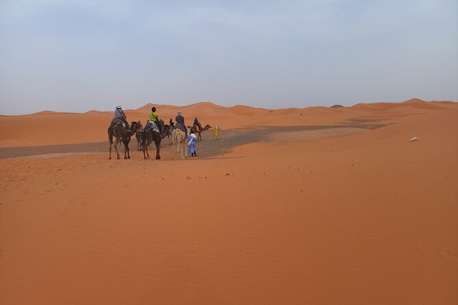 Ride the Camels for Sunset in Merzouga Dunes - Host Response and Commitment