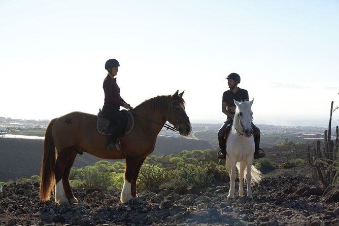 Riding 2 Hours Along the Maspalomas Route - The Sum Up