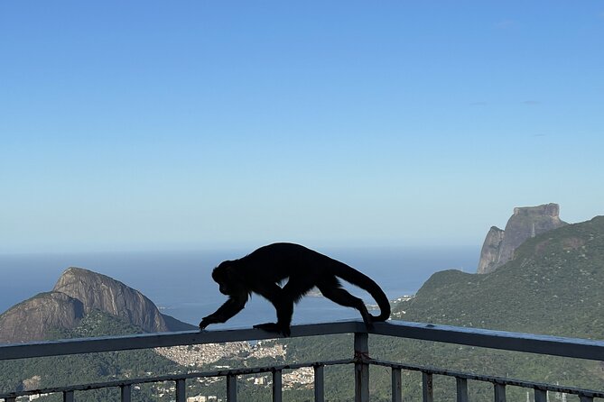 Rio Private Tour With English Guide - Why Choose This Tour?