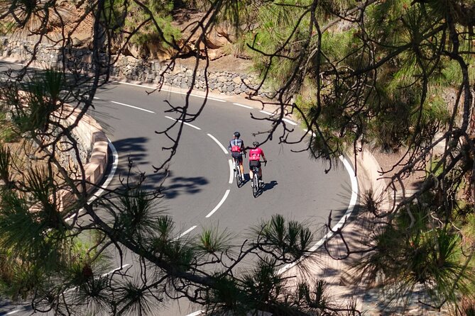 Road Cycling Tenerife - Vilaflor Route - Tour Reviews and Feedback