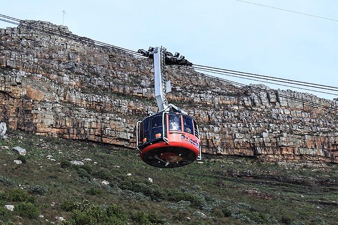 Robben Island Tour & Table Mountain Guided Tour - Areas for Improvement