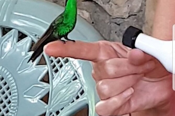 Rocklands Bird Sanctuary & City Highlights Plus Shopping From Grand Palladium - Accessibility and Participation Details