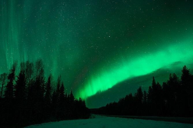 Rovaniemi: Private Aurora Tour With Guaranteed Sightings - Customer Reviews and Feedback