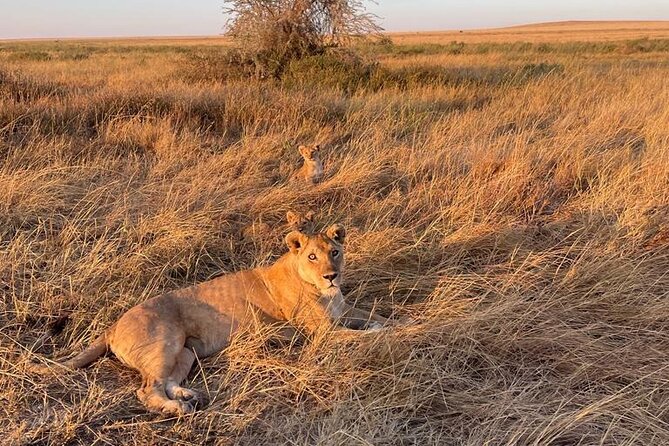 Royal Day Trip to Selous/Nyerere Park Fly Safari From Zanzibar - Exploring Selous/Nyerere Park