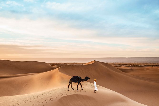 Royal Private Desert Safari - Exclusive SUV - Dune Bashing Adventure