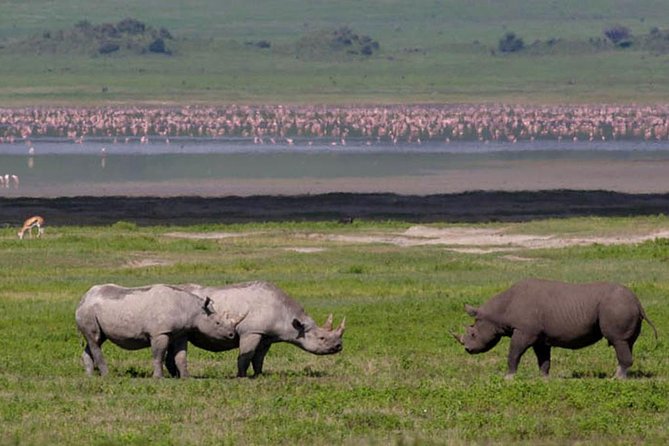 Safari in Tanzania 5 Days: Manyara, Ngorongoro, Serengeti - Packing and Gear Recommendations