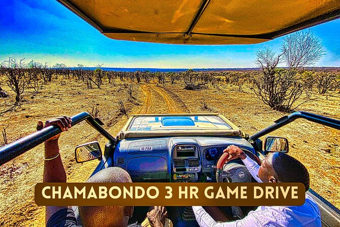 Safari in Victoria Falls and Zambezi National Park - Reviews