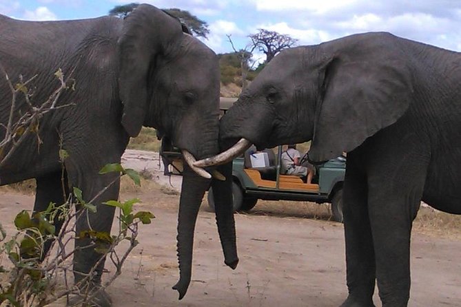 Safari Kifaru - Frequently Asked Questions