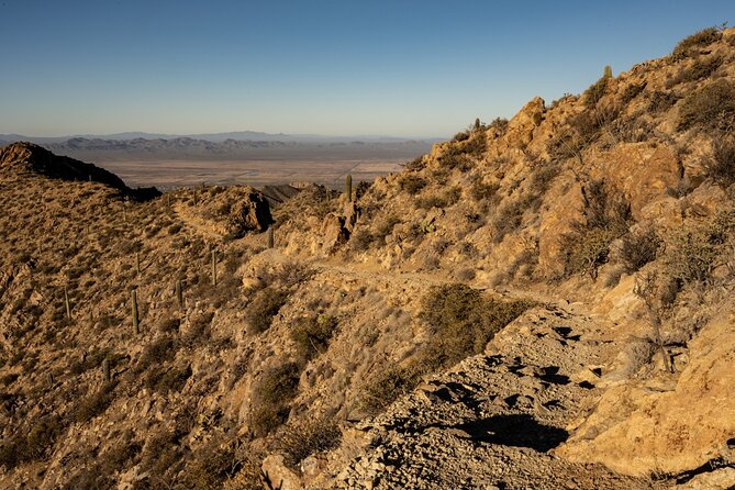 Saguaro NP and Mt. Lemmon Tour Review - Value and Pricing