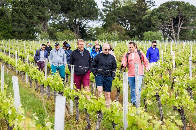 Saint-Georges Saint-Emilion Walking and Biking Tour With Lunch  - France - Savoring Local Cuisine
