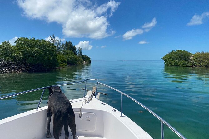 Sandbar Snorkel in the Backcountry of Key West - Cancellation Policy