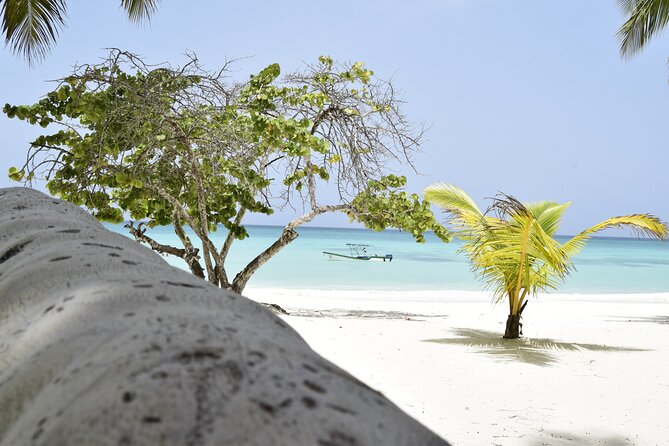 Santo Domingo Saona Island Catamaran Tour With Lunch & Bar - Tour Recommendation