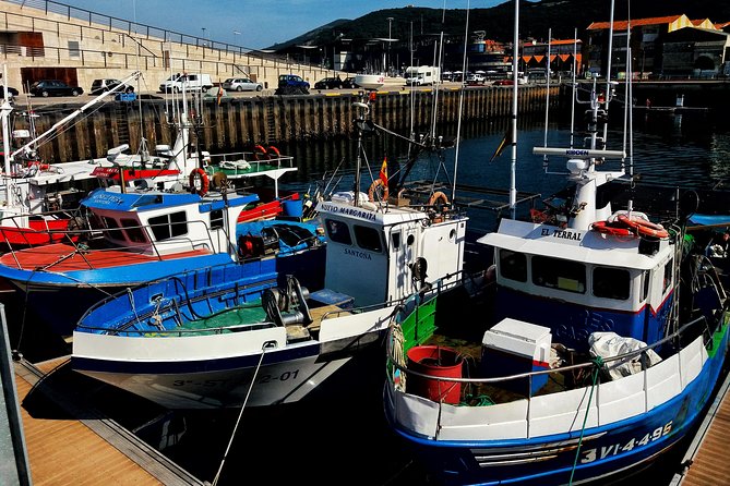 Santoña: Anchovy Factory & Boat Trip - Exploring Santoñas Bay