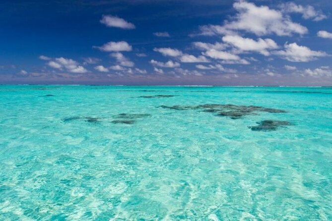 Saona Island Full-Day Excursion - Good To Know
