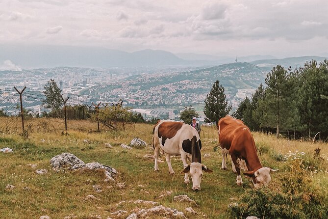 Sarajevo City Tour: Urban Hike off the Beaten Path - Additional Info