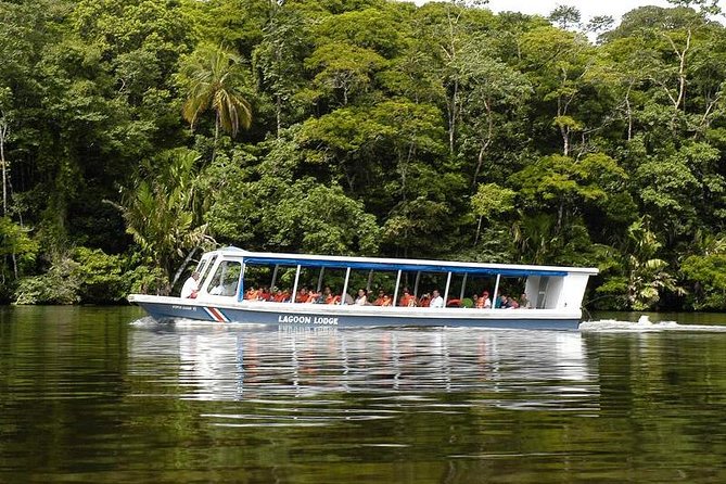 Sarapiqui River Cruise & Rainforest Walk. Private Tour - Exploring the Sarapiqui River