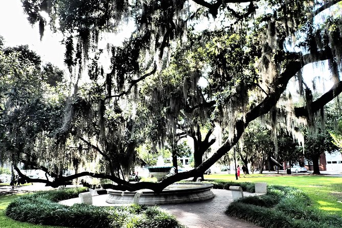Savannah Scavenger Hunt Adventure - Future Scavenger Hunt Locations