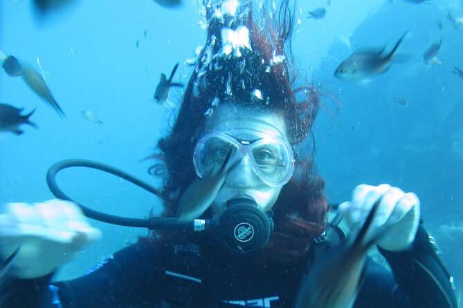 Scuba Diving Adventure in Santorini - Included Equipment and Training