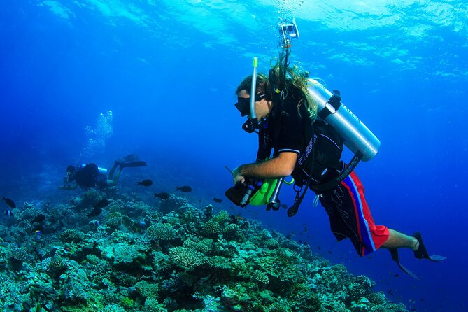 Scuba Diving Experience Tour From Side - Customer Reviews
