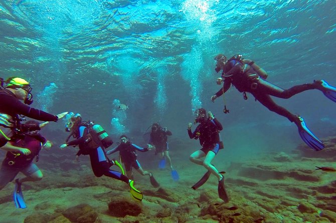 Scuba Diving From Bodrum - Participant Guidelines