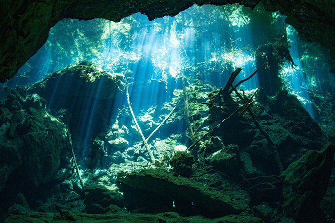 Scuba Diving in Cenote Kukulkan From Playa Del Carmen - Booking and Availability