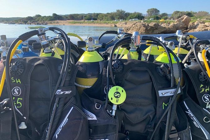 Scuba Diving in La Maddalena and Lavezzi Marine Protected Areas. - Traveler Participation