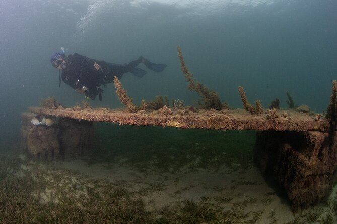 Scuba Tour for Certified Divers in San Juan - Accessibility and Restrictions