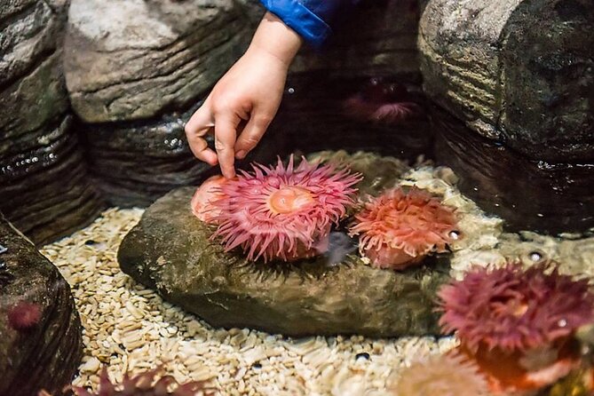 SEA LIFE Orlando Aquarium - Educational Experiences and Programs
