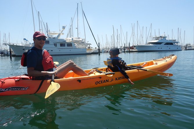 Sea Lion Kayak Tour - Santa Barbara Harbor - Accessibility and Requirements