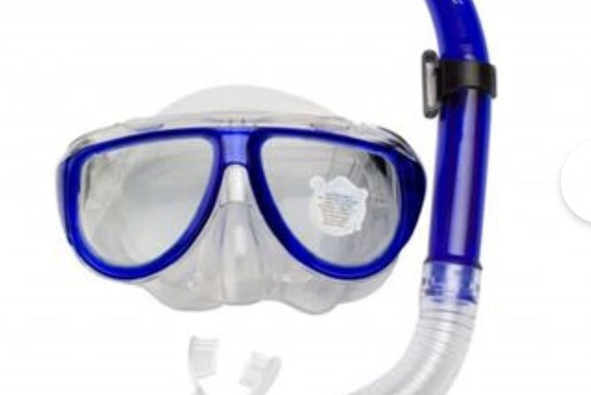 SEA SAFARI, Dolphins, Whales, Snorkeling, Snack and Drink, 2 H Speedboat - Customer Reviews and Ratings