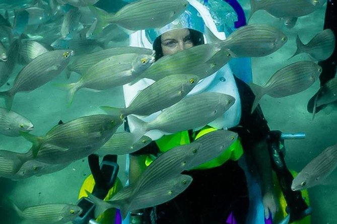 Sea Trek and Diving for Handicaped People - Additional Information