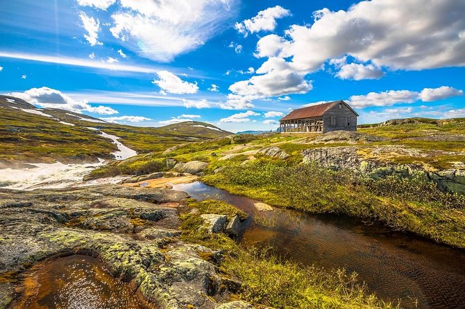 Self-Guided Bergen to Oslo Daytrip With Flamsbana & Fjordcruise - Fjord Cruise Experience