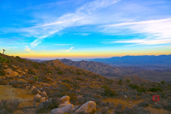 Self-Guided Driving Audio Tour in Joshua Tree National Park - Customer Feedback