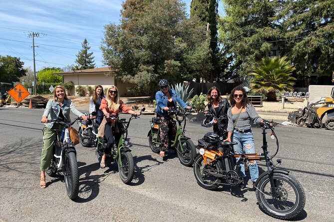 Self Guided Full Day E-bike Rental With Picnic Lunch - Pricing and Booking Options