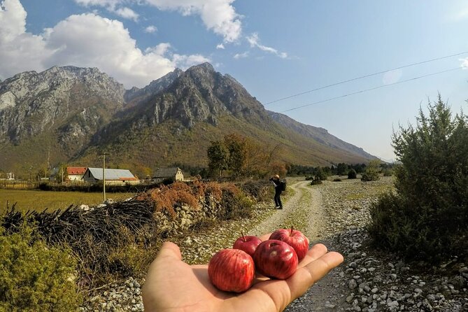 Self-Guided Hiking Tour: Theth, Valbona & Koman Lake in 5 Days - Cancellation and Amendment Policy