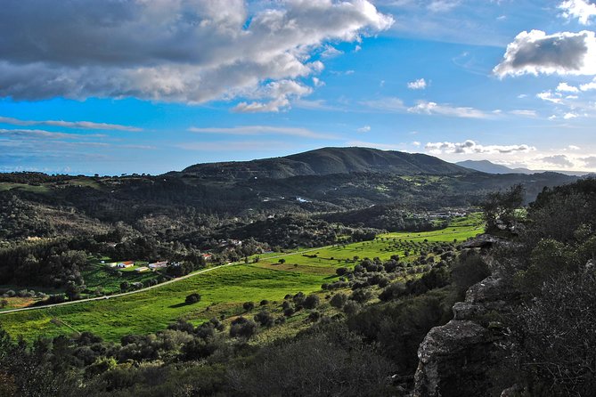 Setúbal Private Tour - Including Dolphin Watching - Highlights of the Tour