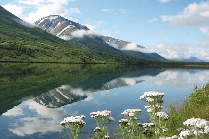 Seward to Anchorage Cruise Transfer and Private Tour - Booking and Cancellation Policies