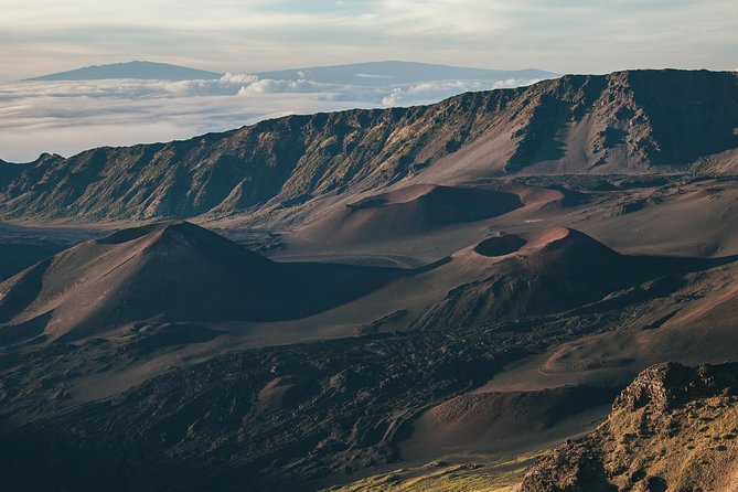 Shore Excursion: Haleakala Sunrise Tour for Pride of America Passengers - Customer Feedback