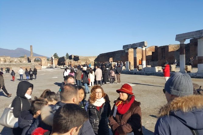 Shore Excursion of Pompeii, Vesuvius, Herculaneum. - Cancellation Policy