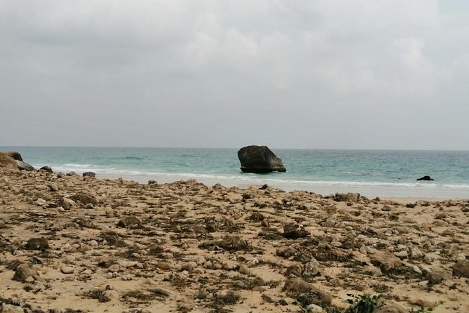 Shore Time at Al Fuzaiyah Beach /Half Day Guided Tour. - Sunset View Availability