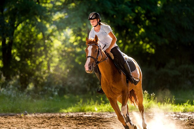 Side Horse Riding Review: Beach and Forest Experience - Highlights and Recommendations