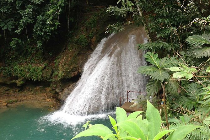 Sightseeing Tour With a Local Native Guide - Exploring Montego Bays Culture
