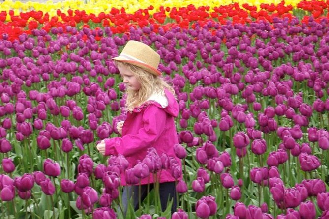 Skagit Valley Tulip Festival Day Trip From Seattle - Preparing for the Trip