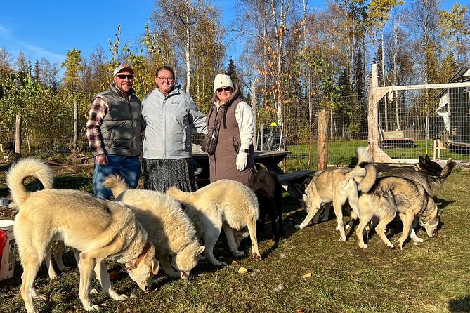 Sled Dog Kennel Tour - Reviews and Feedback