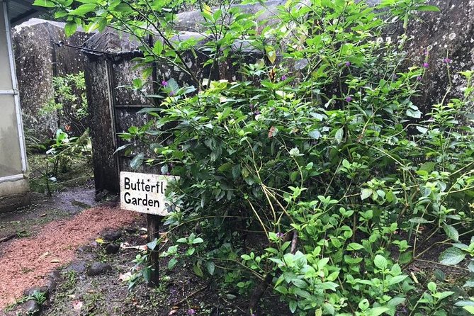 Sloth Tour and Wildlife Encounter - Tour Details and Logistics