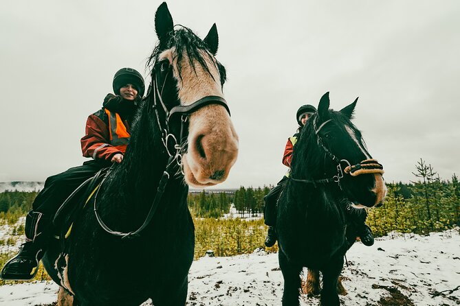 Small-Group Arctic Circle Horse Riding From Rovaniemi - Booking and Confirmation